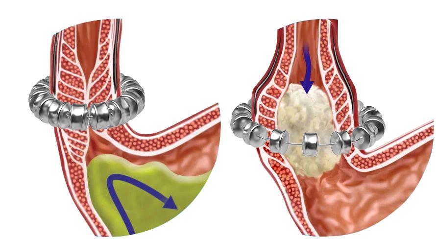 图片2.jpg 图片2.jpg